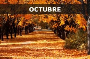días internacionales y mundiales de octubre