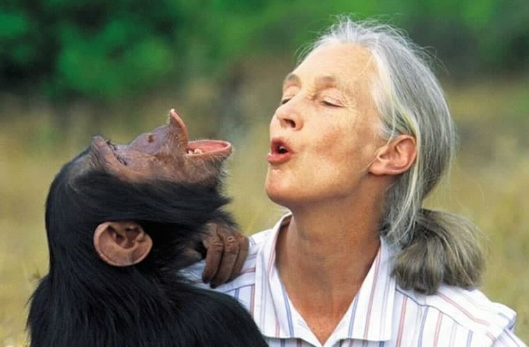 Jane Goodall llega a Gombe Stream