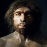 descubrimiento del Homo antecessor