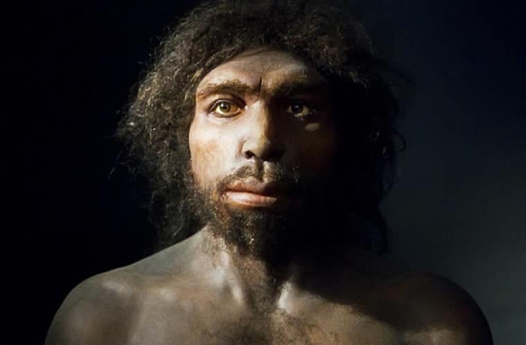 descubrimiento del Homo antecessor