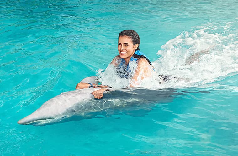nado con delfines Yucatán